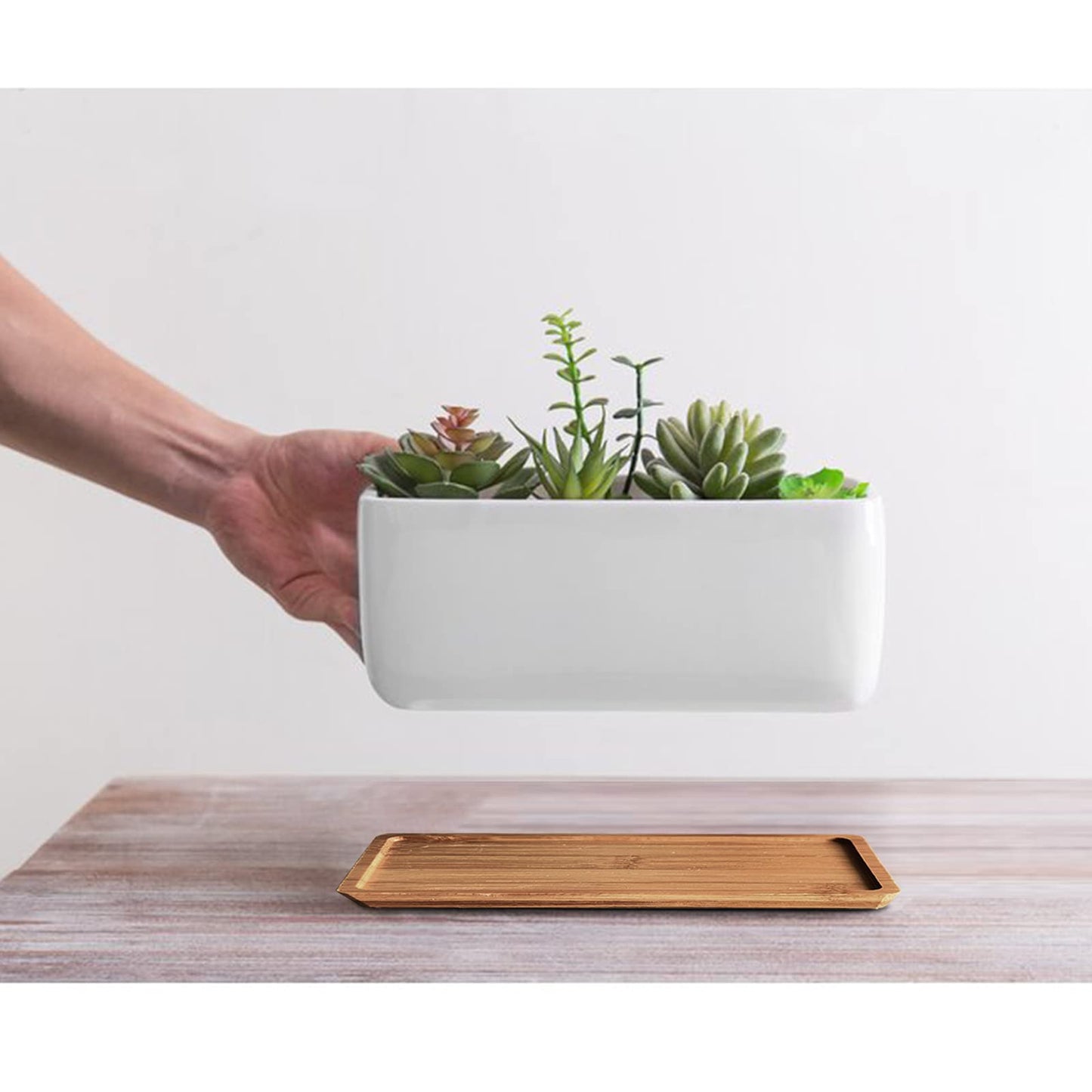 ARVINKEY White Ceramic Succulent Planters, Indoor and Outdoor Succulent Planters, Set of 2 Small Cactus Containers, Bonsai Pots, Flower Pots with Drainage Hole and Bamboo Bowl (No Plant)