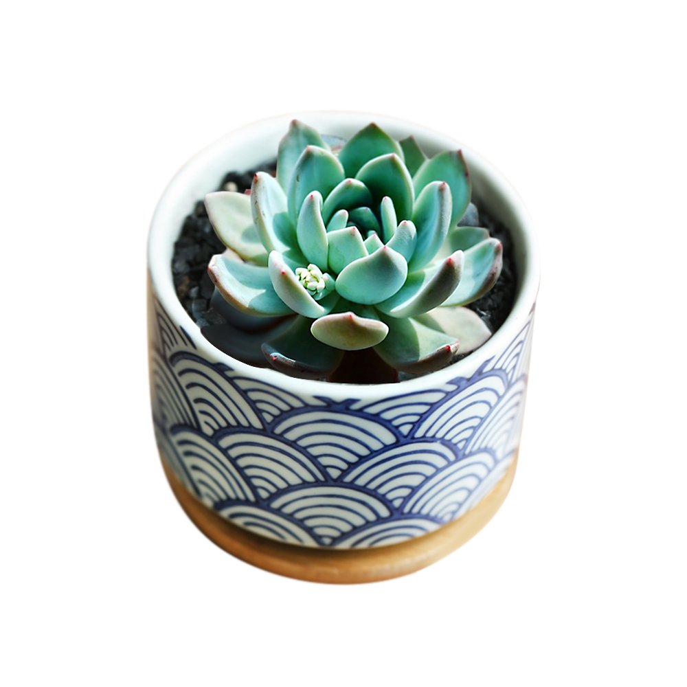 GeLive 3 Inch Ceramic Succulent Planter, Cactus Plant Pot, Flower Container with Bamboo Drip Tray, Indoor Outdoor, Set of 2 (Wave and Blue Flower)