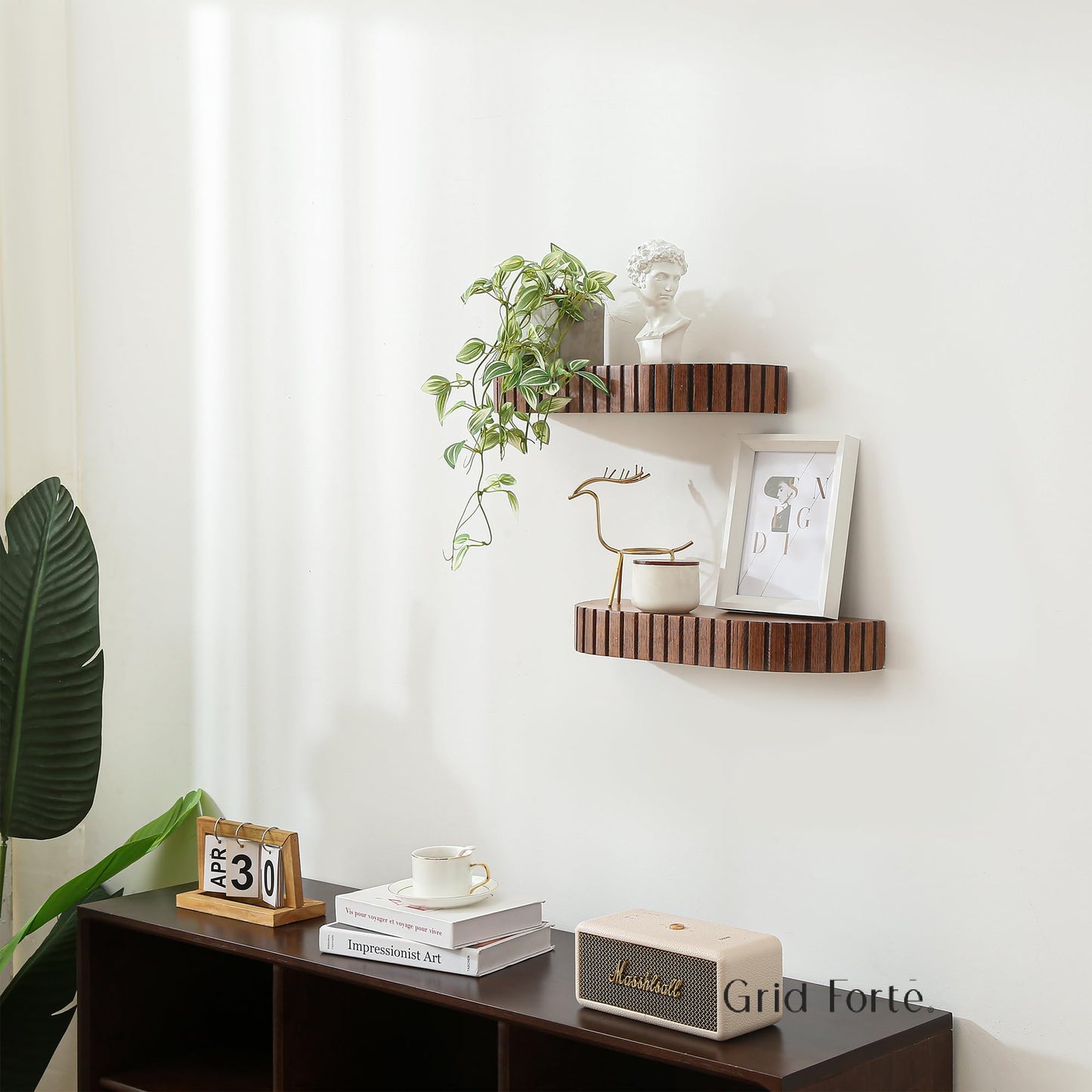 GRID FORTE Wood Rounded Fluted Floating Shelf Set of 2, 16Wx5.5D Inchโ Modern Display Shelf with Decorative Edge, Rustic Hanging Storage for Plants, Books, Photos & Home Dรฉcor