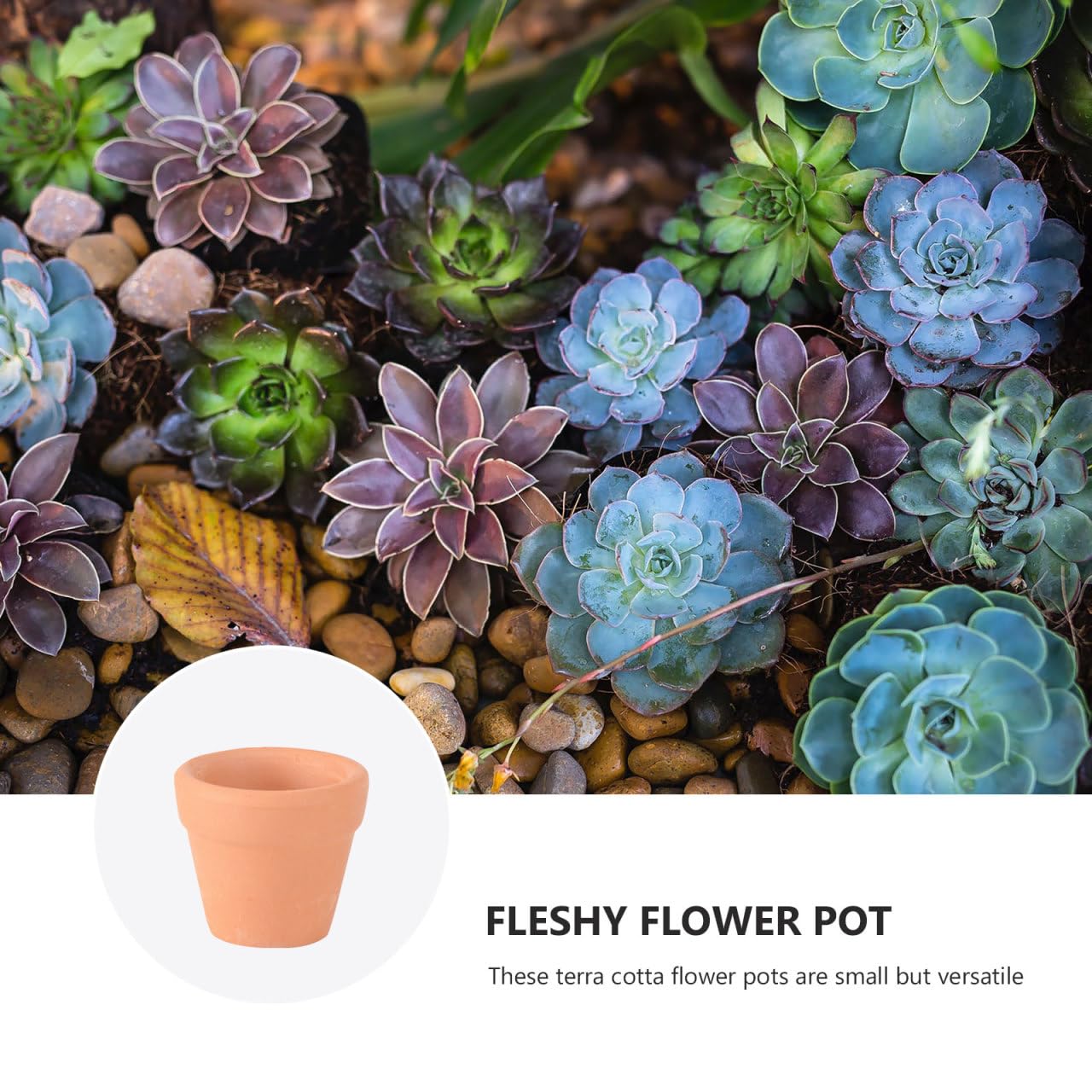 Didiseaon 12 Pcs Mini Terracotta Pots, Small Clay Ceramic Planter, Tiny Succulent Flower Container with Drainage Hole for Indoor Plants Crafts