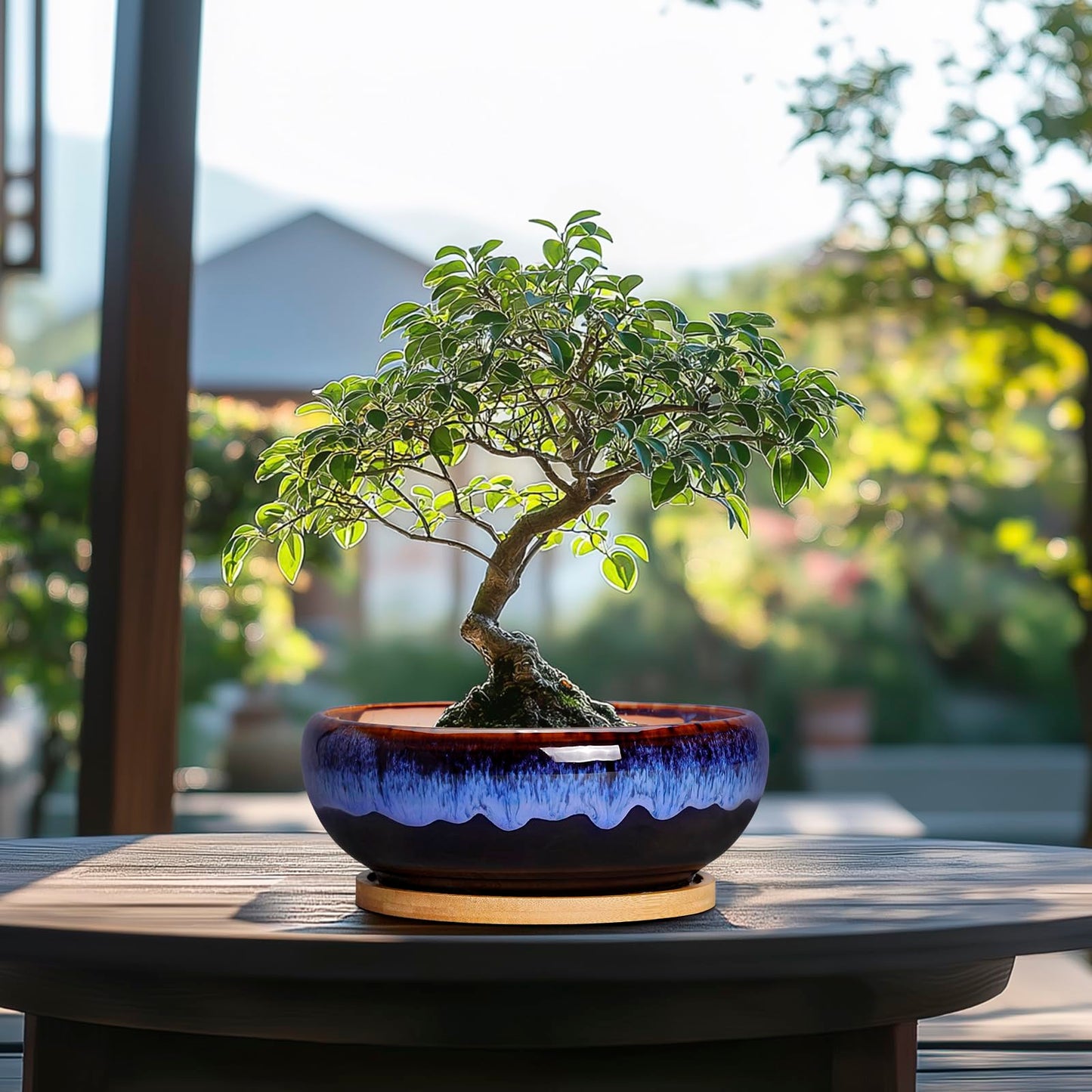 SQOWL 7 Inch Round Ceramic Succulent Planter Pot Drip Glazed Shallow Planter with Drainage Bamboo Tray for Indoor Plants