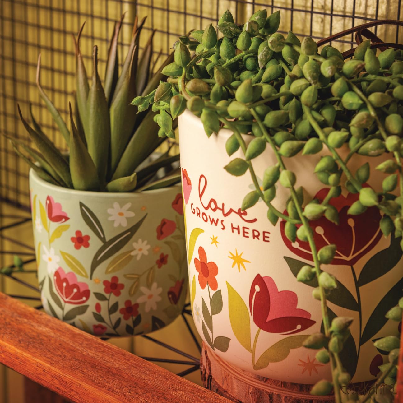 Karma, Ceramic Floral Planter Set of 2, Modern Boho Planters, Flower Plant Pots Indoor Plants, Ceramic Planter, Sprout