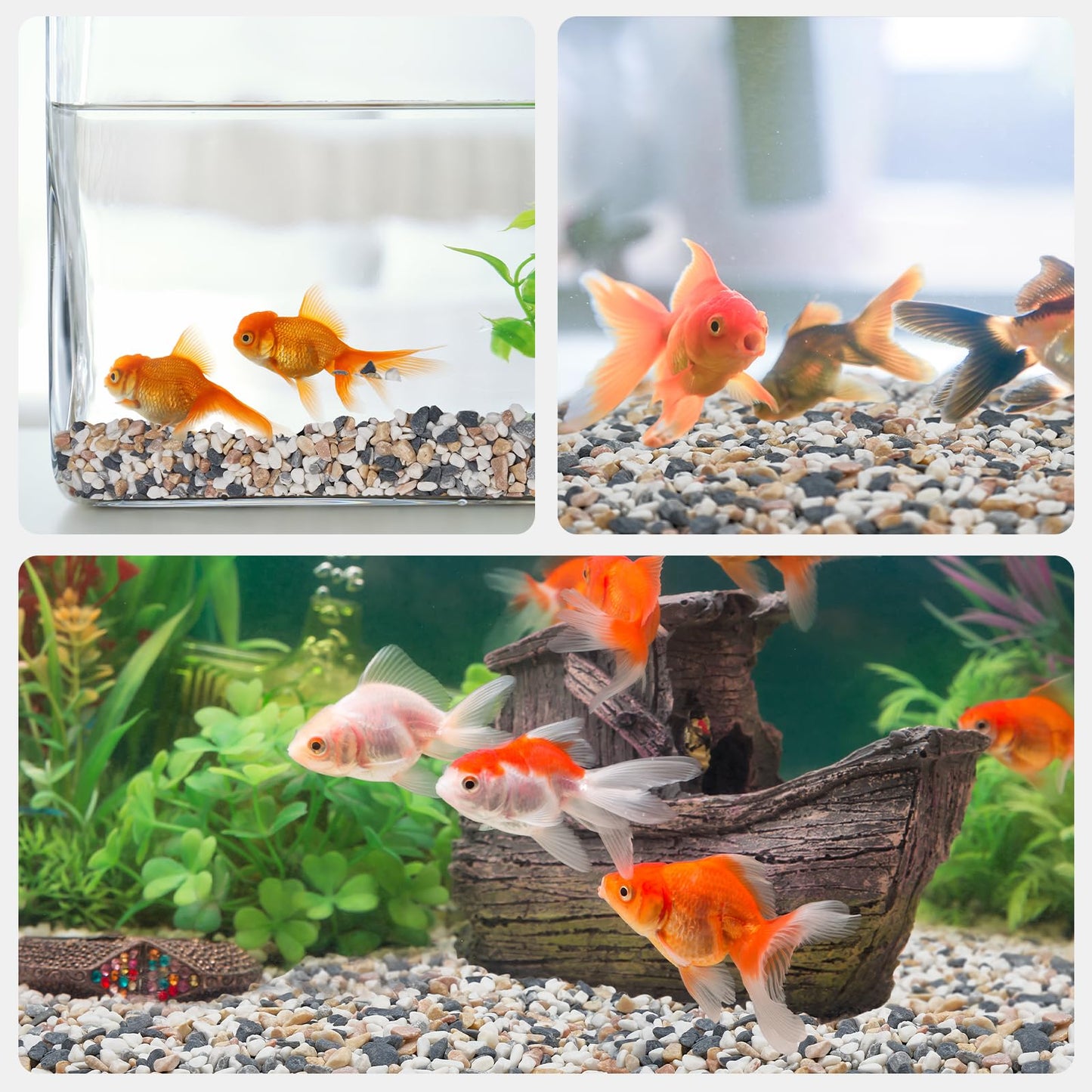 Pulovin 2.5 lbs Small Rocks for Plants, 1/5 Inch Pebbles for Indoor Plants, Natural Decorative Pea Gravel for Aquarium, Fish Tank, Terrarium, Succulents, Bamboo Plants, Vases, Cactus, Crafts