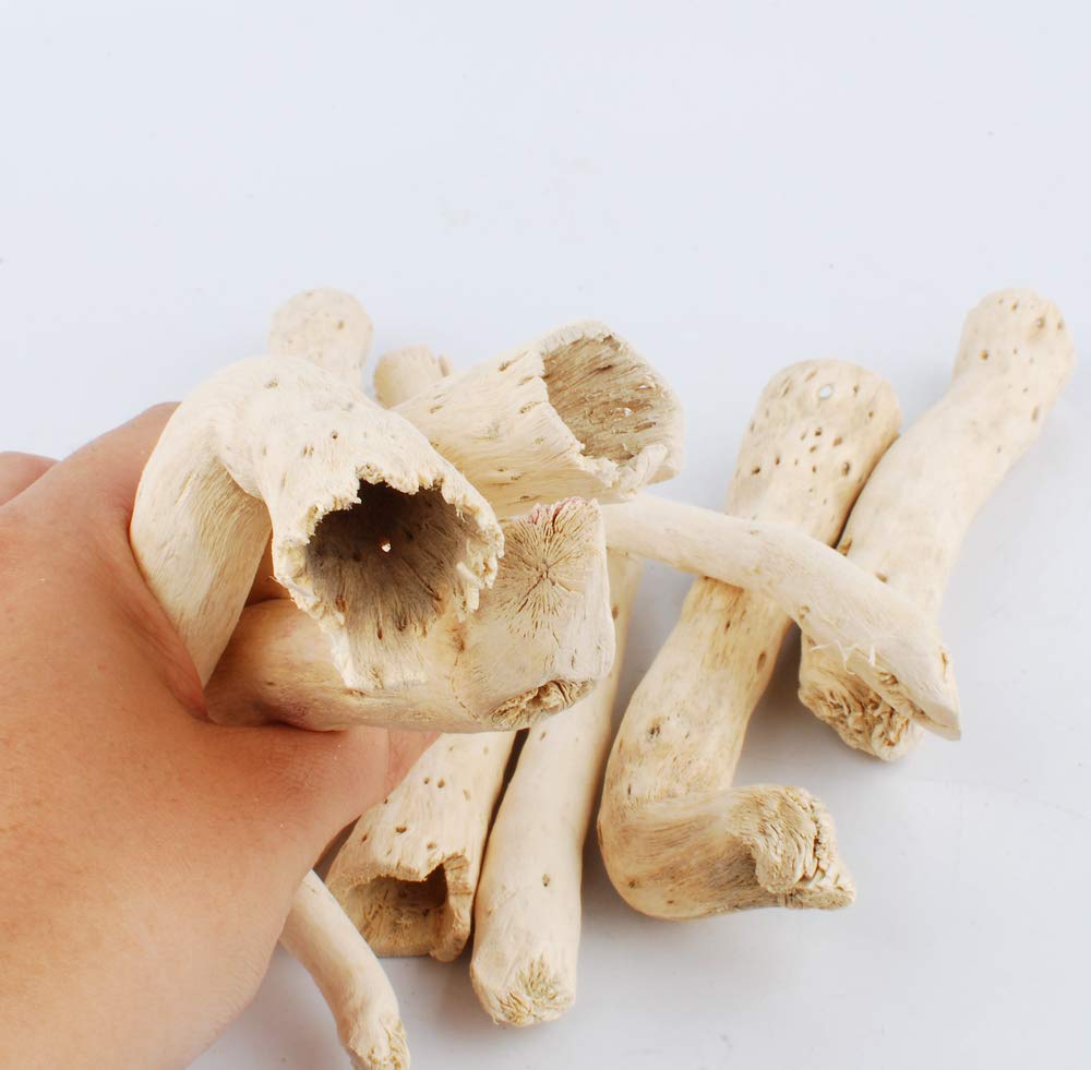 NWFashion 10Pcs Nautical Weathered Driftwood for Decorating, Creating and Embellishing Natural Home Decoration 4.2-6inches