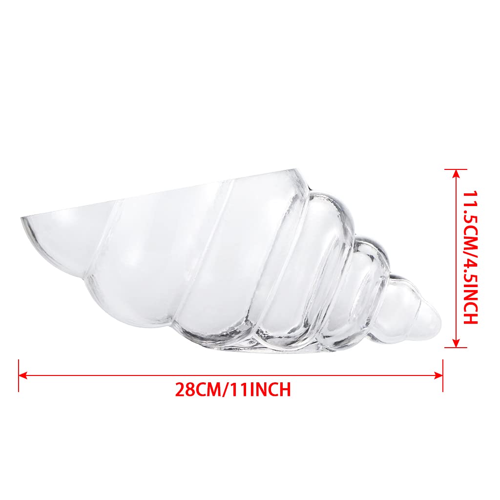 MDLUU Glass Shell Vase, 11-Inch Seashell Potpourri Holder, Large Decorative Conch Bowl for Shell Collection Display, Sea Glass, Air Plant