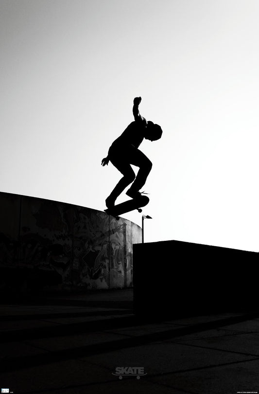 Trends International Skateboarding - Silhouette Wall Poster, 22.375" x 34", Premium Unframed Version