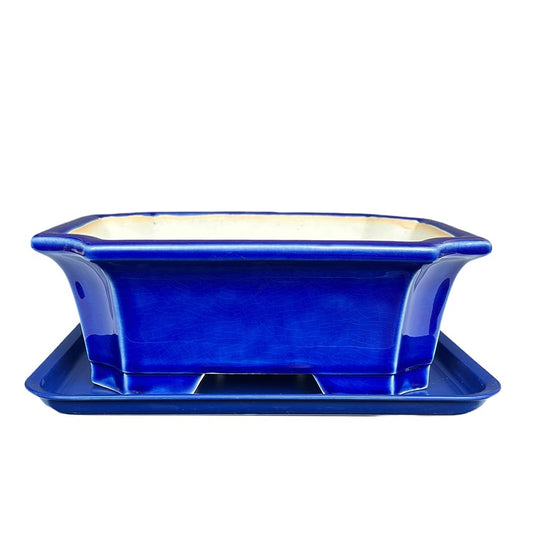 MUZHI Blue Bonsai Plant Pot 9.9” with Drip Saucer, Classic Glazed Ceramic Planter Container for Tree, Cactus, Succulent