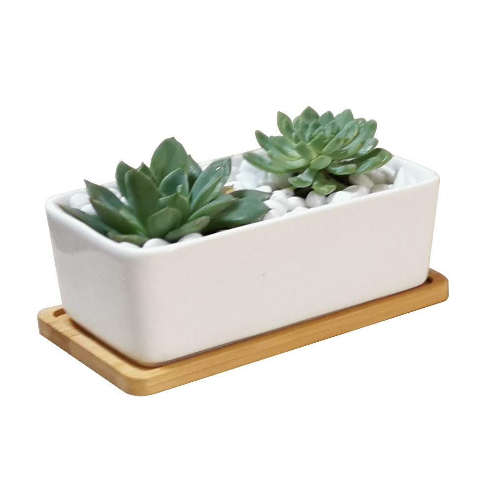 LANKER 6.5 Inch Rectangle White Ceramic Succulent Planter Pot Decorative Cactus Plant Pot Flower Container with Bamboo Tray (Rectangle 6.5 Inch)