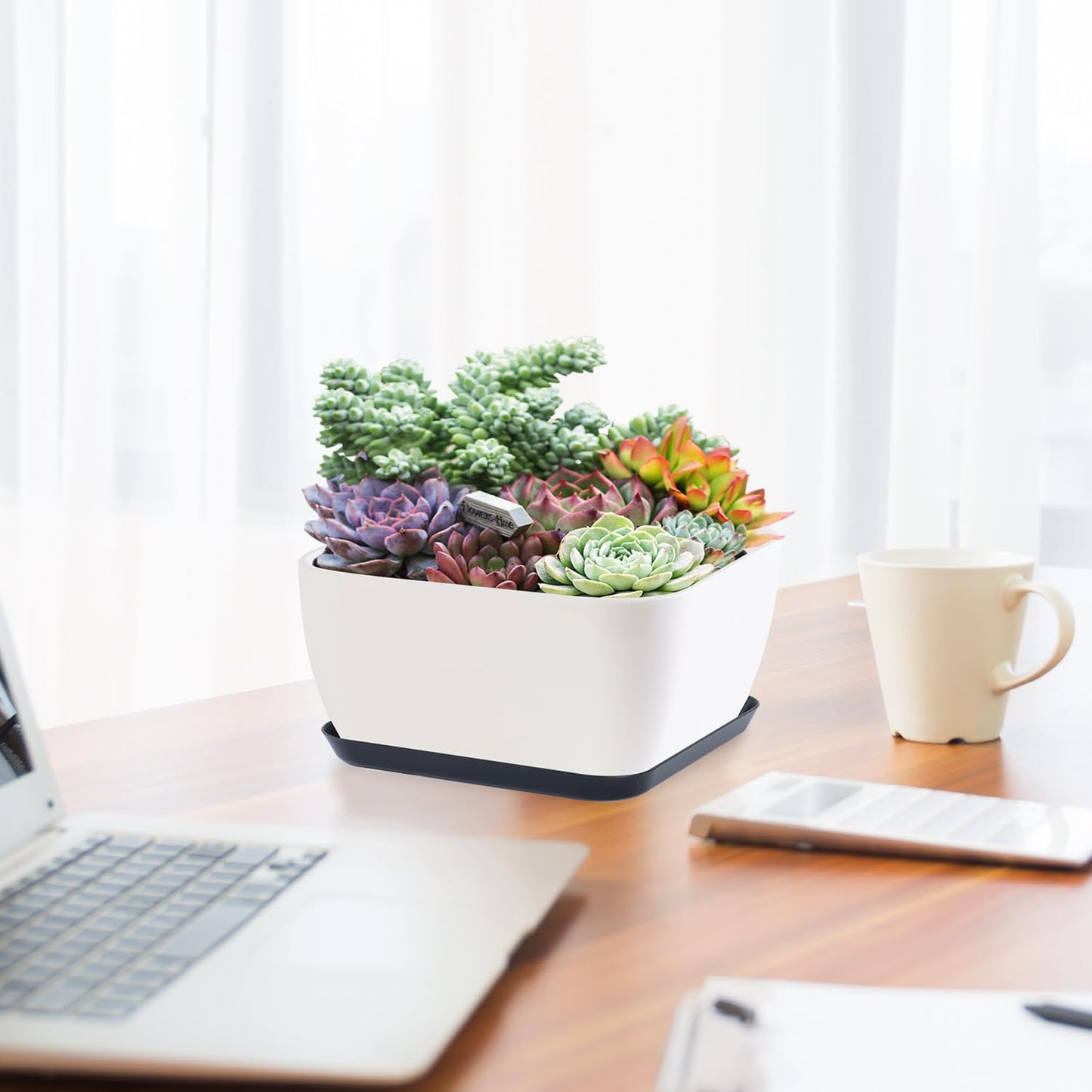 Oliz Succulent Pots 6 Inch Shallow Herb Planters with Drainage Hole - 4 Packs Cactus Planter for Home Office Garden Plants Pot Present - Plants Not Included (Off White)