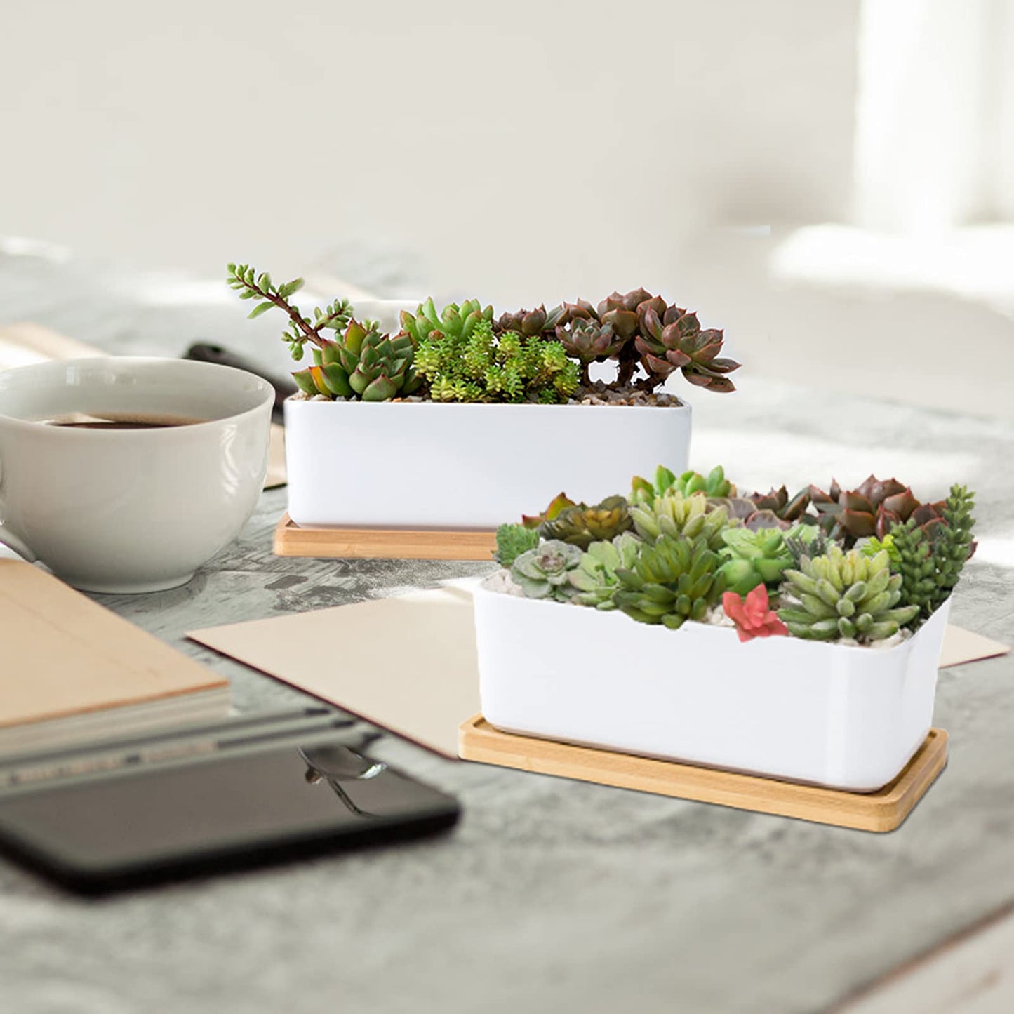 ARVINKEY White Ceramic Succulent Planters, Indoor and Outdoor Succulent Planters, Set of 2 Small Cactus Containers, Bonsai Pots, Flower Pots with Drainage Hole and Bamboo Bowl (No Plant)