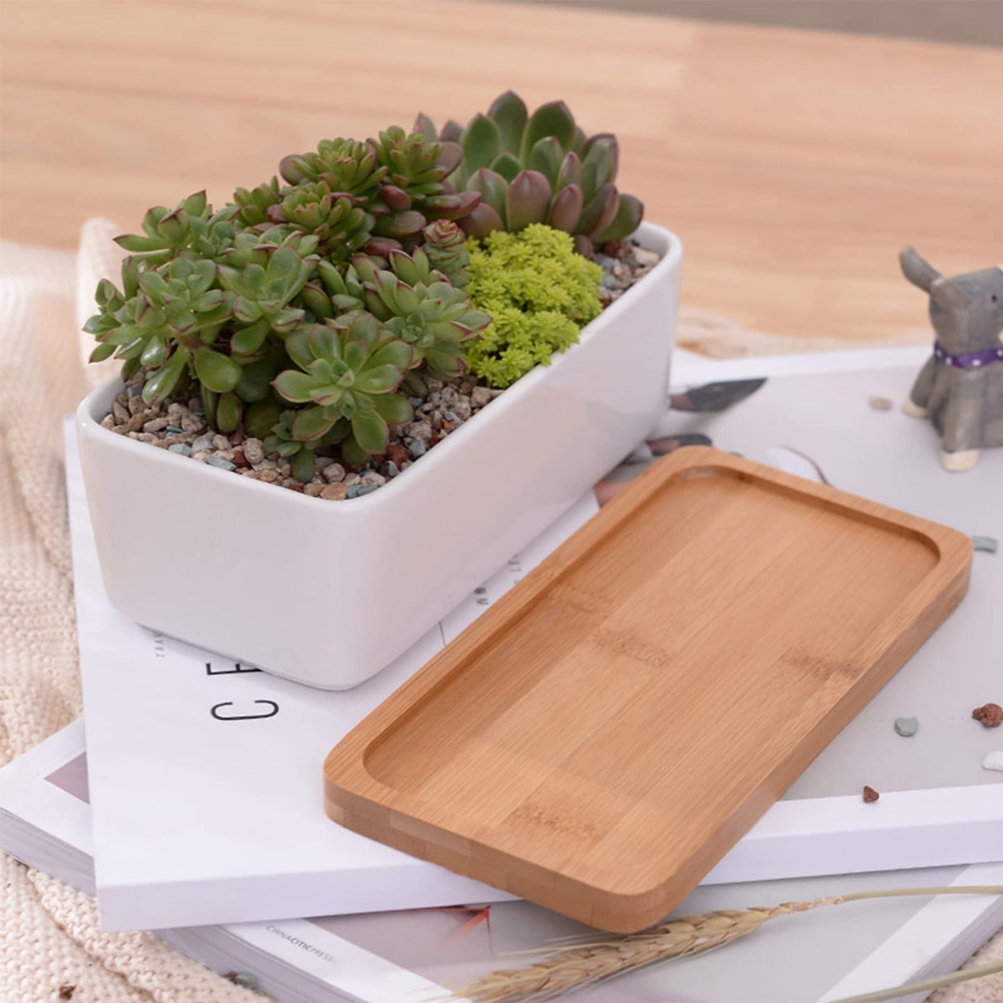 ARVINKEY White Ceramic Succulent Planters, Indoor and Outdoor Succulent Planters, Set of 2 Small Cactus Containers, Bonsai Pots, Flower Pots with Drainage Hole and Bamboo Bowl (No Plant)