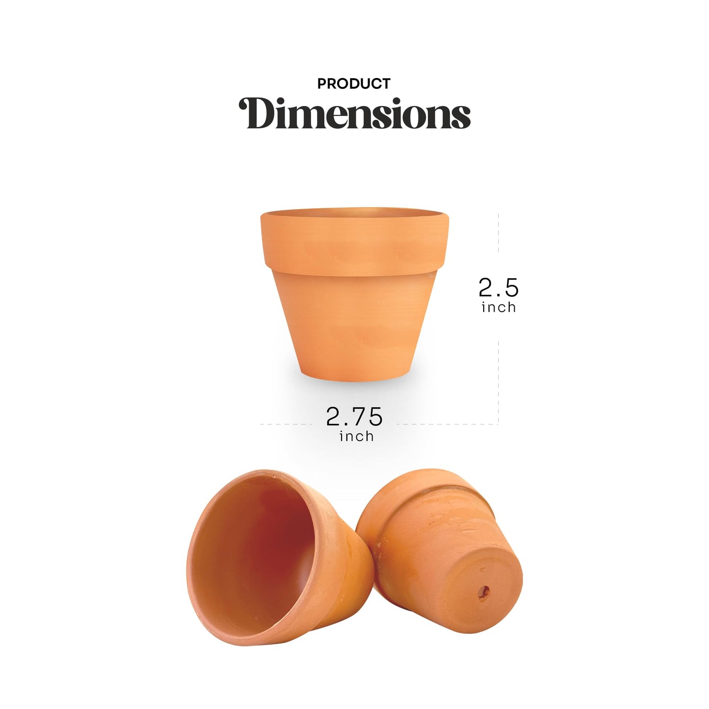 Seed Bloom 12pcs Mini Orange Pots – Small Pots for Indoor or Outdoor Plants, Mini Planters for Flowers and Greenery, for Plant Lovers