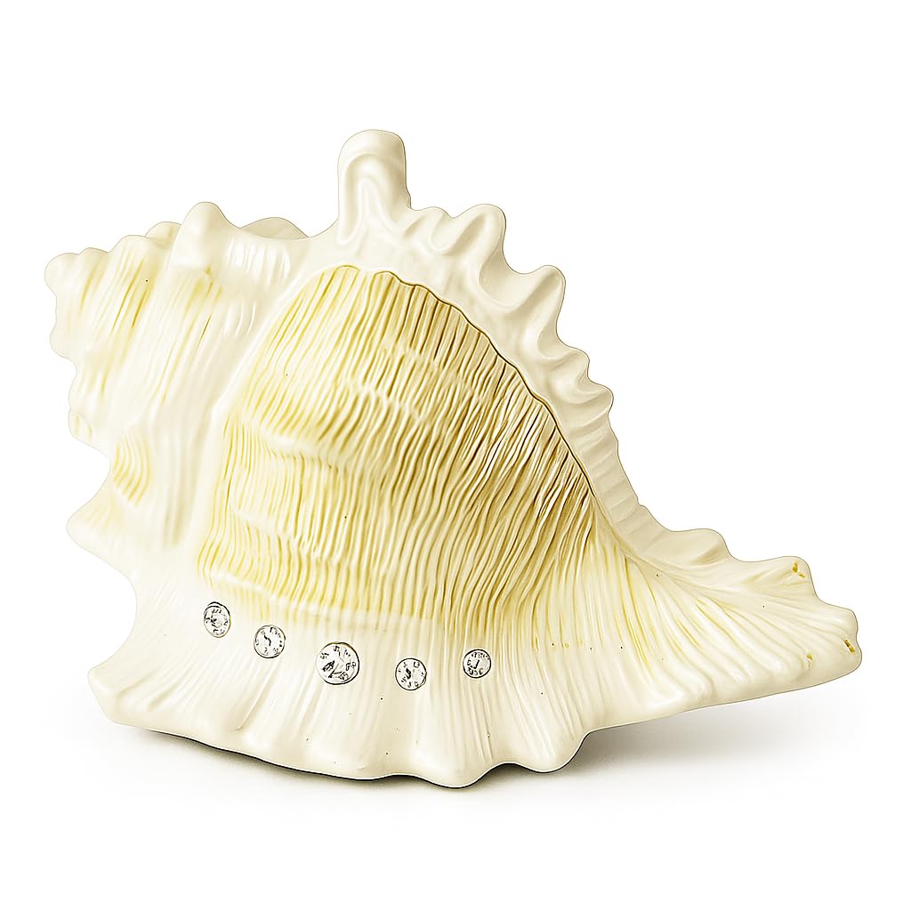 Mr.Winder Conch Shell Music Box Plays You are My Sunshine, Ocean Theme Gift for Wife Husband Daughter Grandma Sister Gifts for Birthday Anniversary Christmas Musical Box