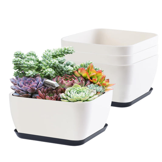 Oliz Succulent Pots 6 Inch Shallow Herb Planters with Drainage Hole - 4 Packs Cactus Planter for Home Office Garden Plants Pot Present - Plants Not Included (Off White)