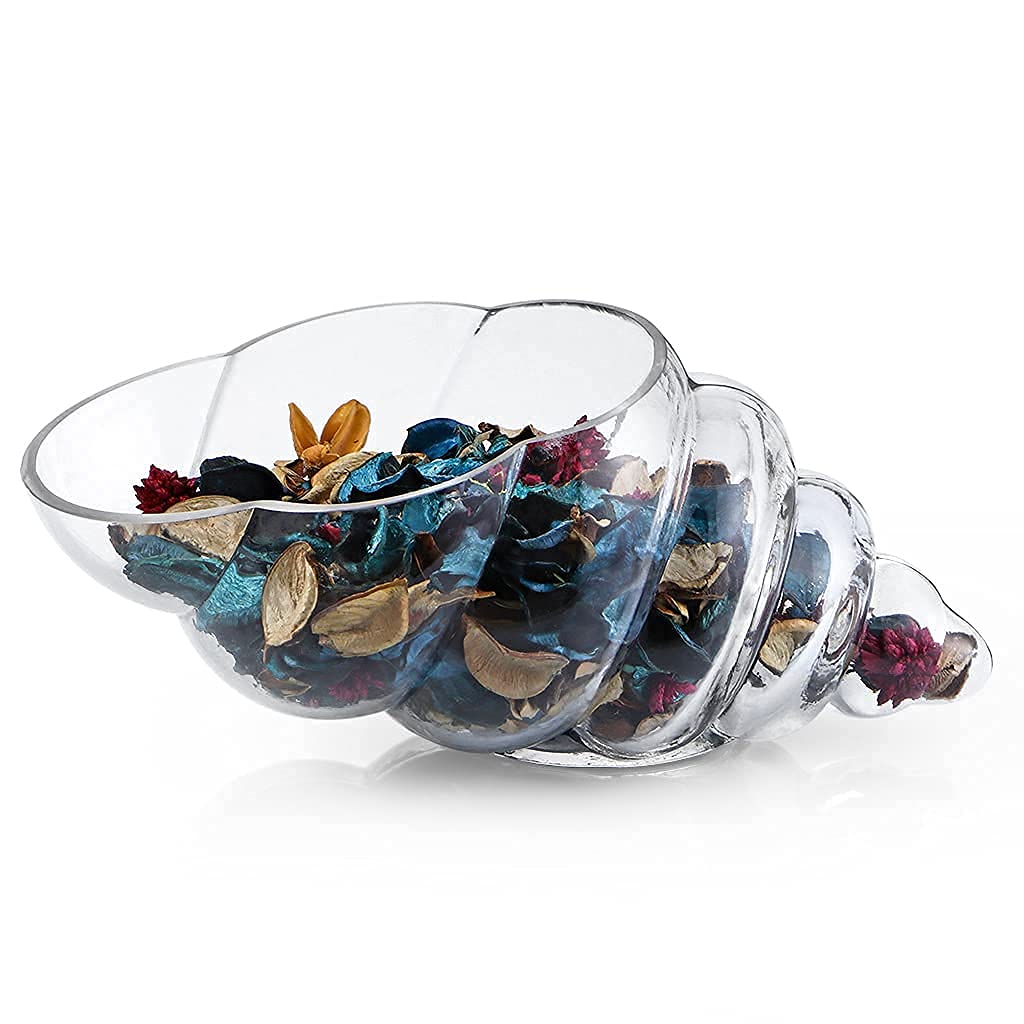 MDLUU Glass Shell Vase, 11-Inch Seashell Potpourri Holder, Large Decorative Conch Bowl for Shell Collection Display, Sea Glass, Air Plant
