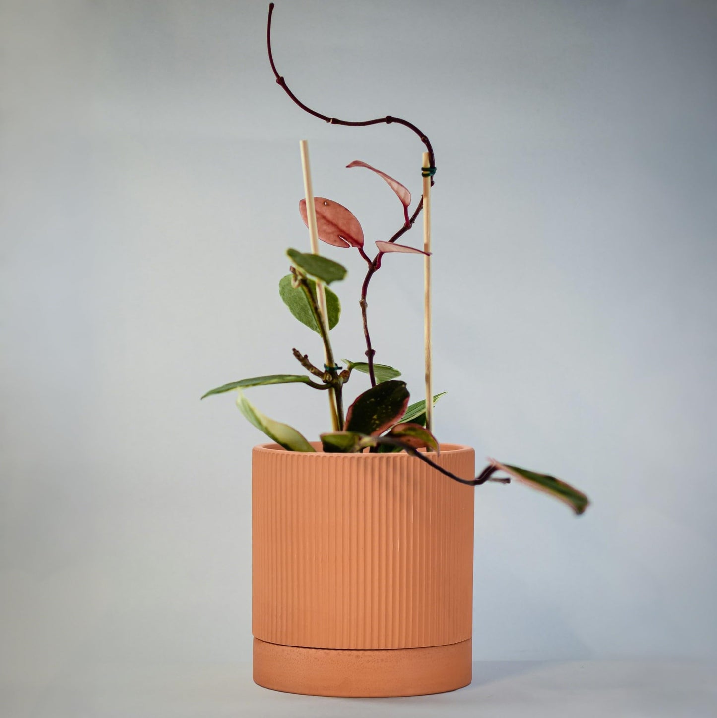 HERDUK Modern Terracotta Pots, 6 Inch Ribbed Textured Clay Planter Pots with Drainage Hole & Saucer, Garden Pots for Indoor/Ourdoor Plants, Succulent Cactus & Herb