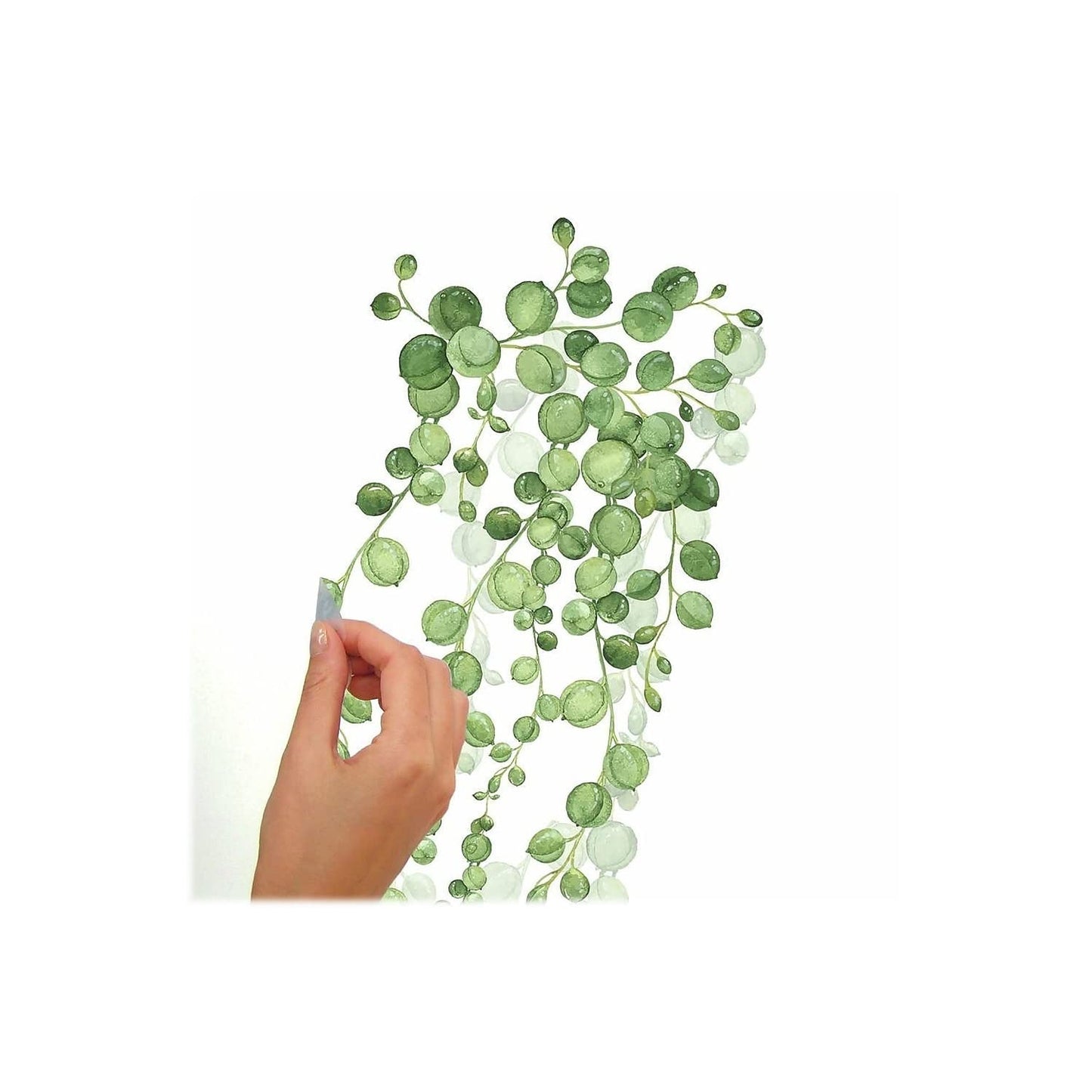 RoomMates RMK3903SCS String of Pearls Succulent Vine Peel and Stick Wall Decals