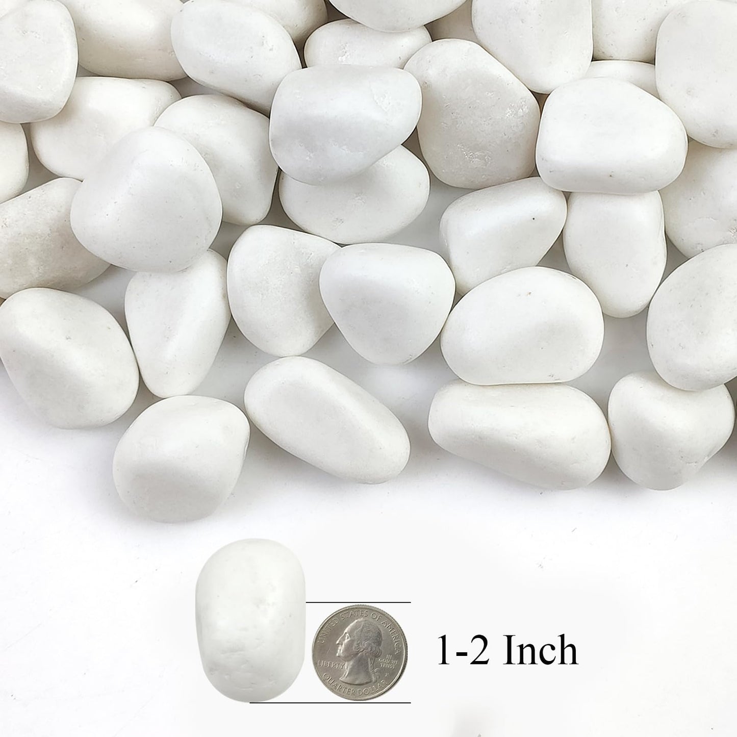 SHIZWU 10lbs White Rocks for Landscaping,1-2 Inch Decorative Pebbles for Plants,River Rocks for Backyard,Flower Beds, Indoor Fountains, Paths, Aquarium Vase,Outdoor Garden