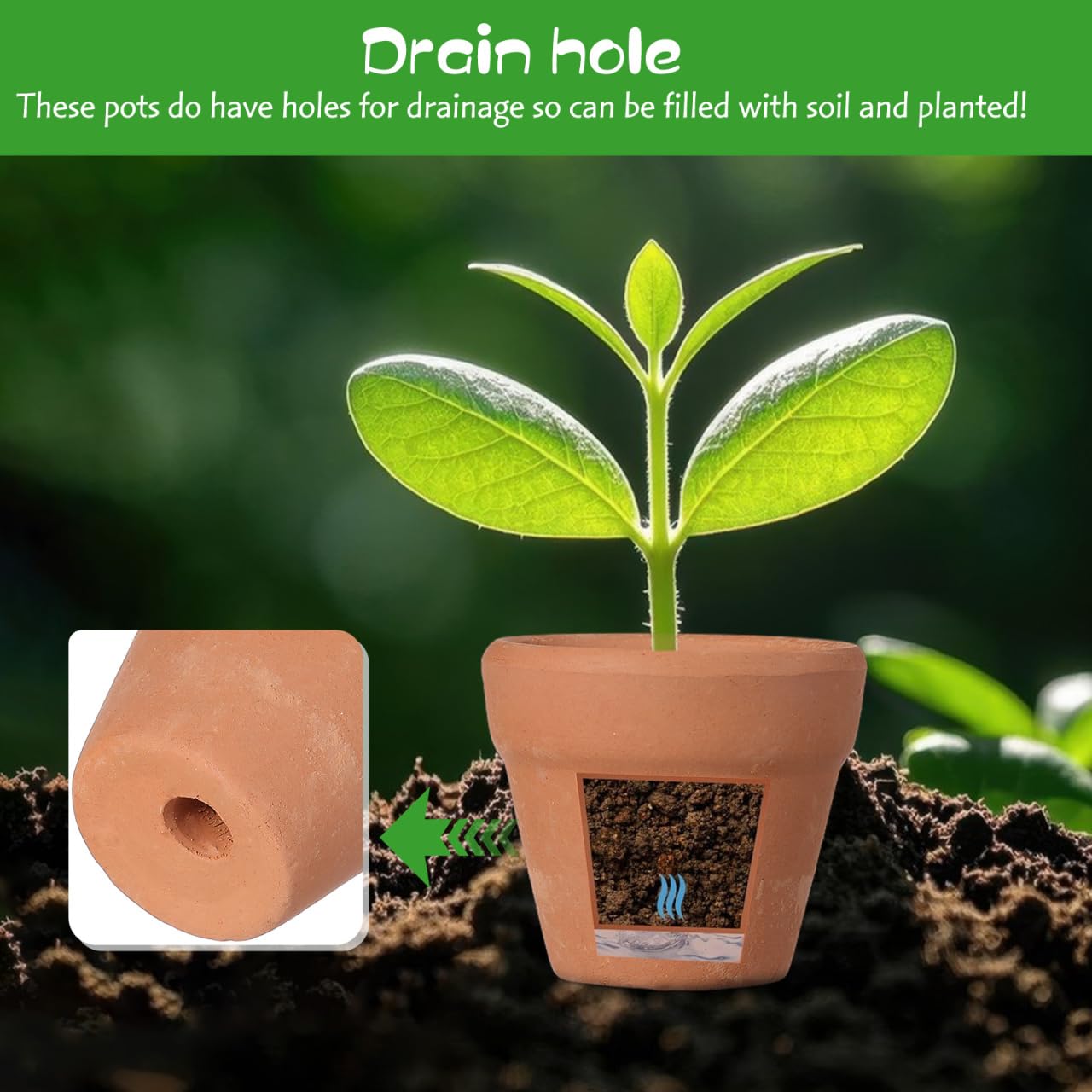 Didiseaon 12 Pcs Mini Terracotta Pots, Small Clay Ceramic Planter, Tiny Succulent Flower Container with Drainage Hole for Indoor Plants Crafts