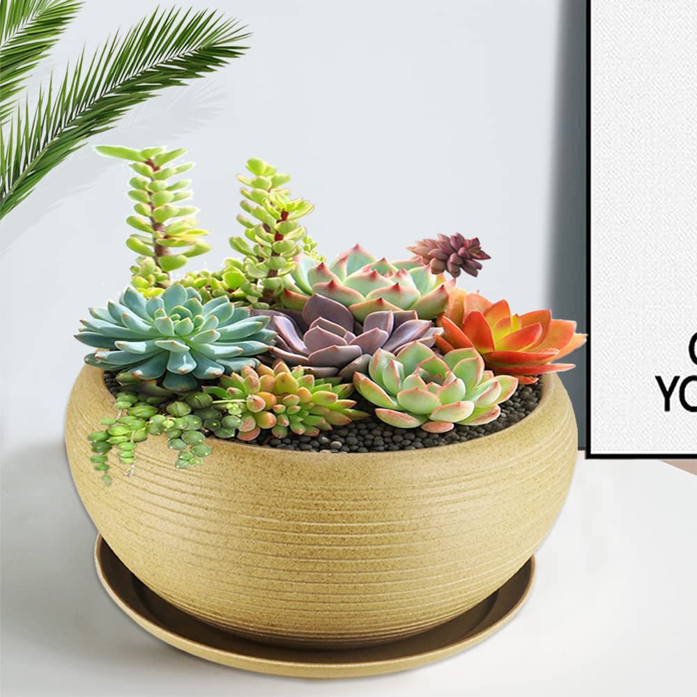 MUZHI 9.5” Round Large Ceramic Bonsai Bowl Planter，Clay Succulent Plant Pot Container with Saucer