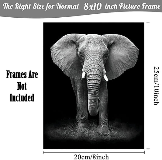 NIIORTY 4 Set-Black and White African Wild Animal Photo Wall Art,Tiger,Lion,Elephant, Leopard Picture Canvas Wall Poster Printing,Brave Inspirational For Bedroom Living Room Decor(8x10inch Unframed)