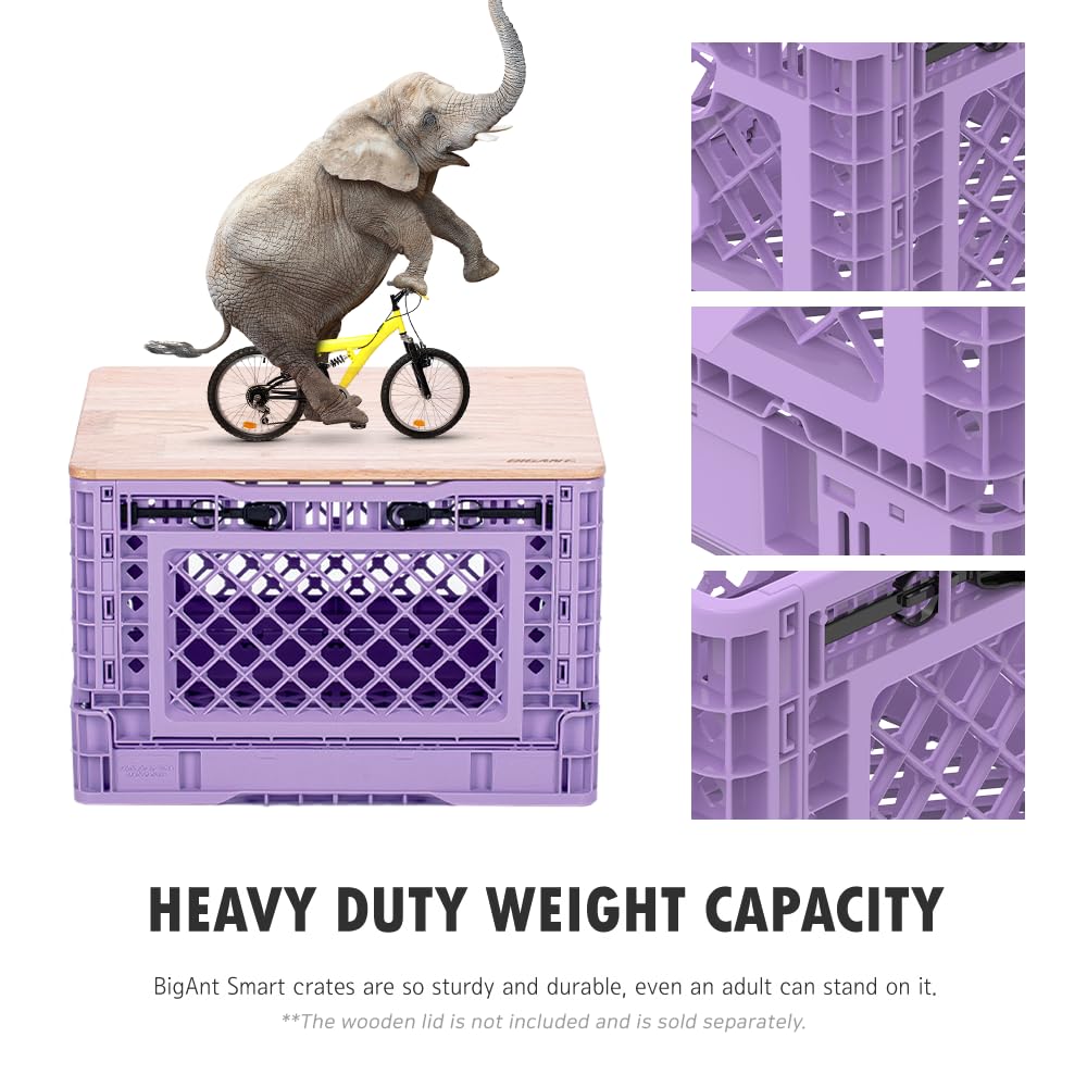 Bigant Heavy Duty Collapsible & Stackable Plastic Milk Crate - Snap Lock Foldable Industrial Garage Storage Bin Container Utility Tote Basket (Purple, 1 Small Crate)