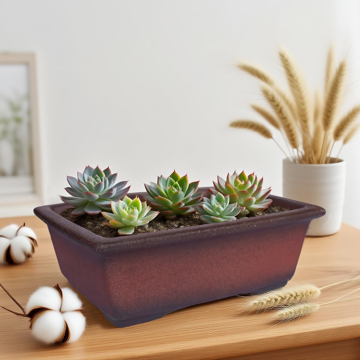 MUZHI Decorative Ceramic Bonsai Planter Pot 8.5 Inch with Tray, Breathable Unglazed Rectangle Terracotta Clay Pot for Tree Succulent Cactus Indoor Outdoor Red Brown