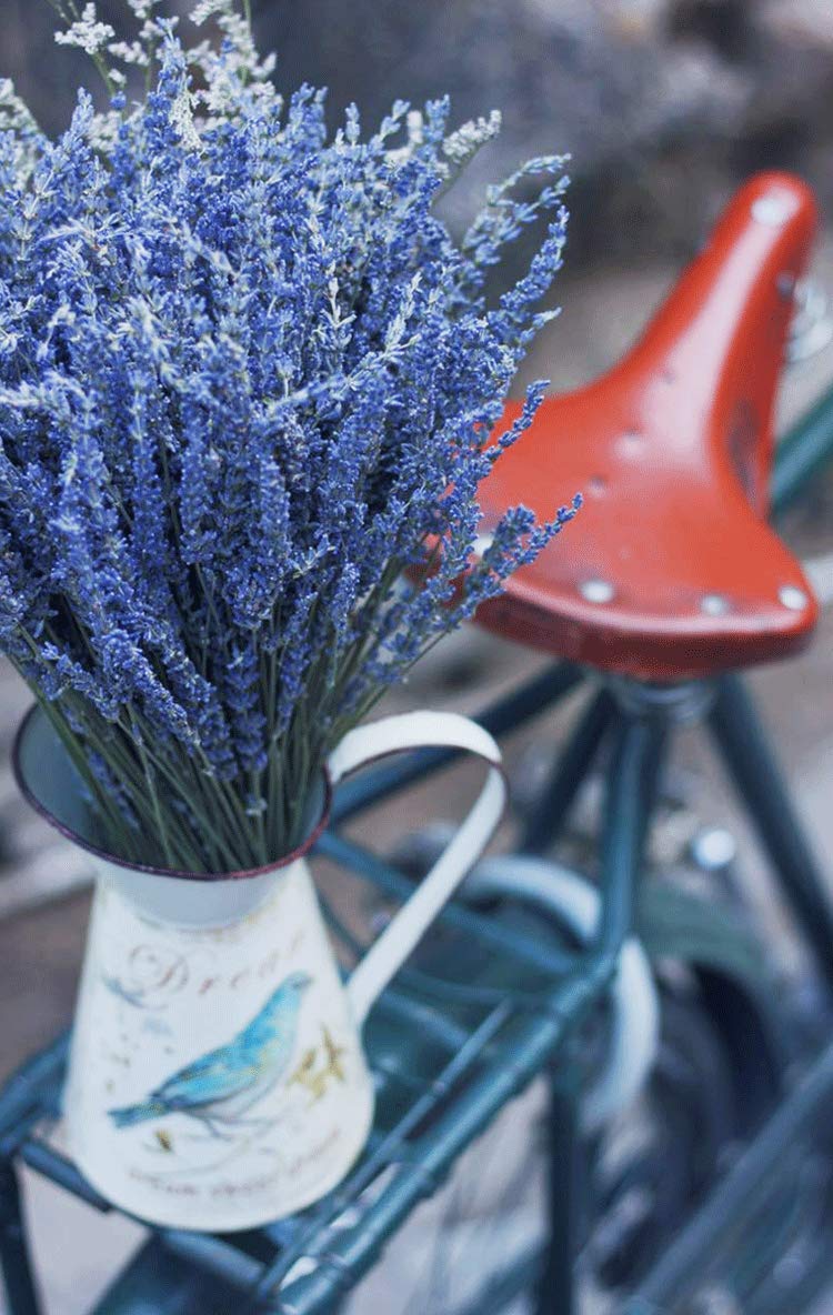 TooGet Natural Lavender Bundles, Freshly Harvested 400+ Stems Dried Lavender Bunch 16" - 18" Long, Decorative Flowers Bouquet for Home Decor, Crafts, Gift, Wedding or Any Occasion