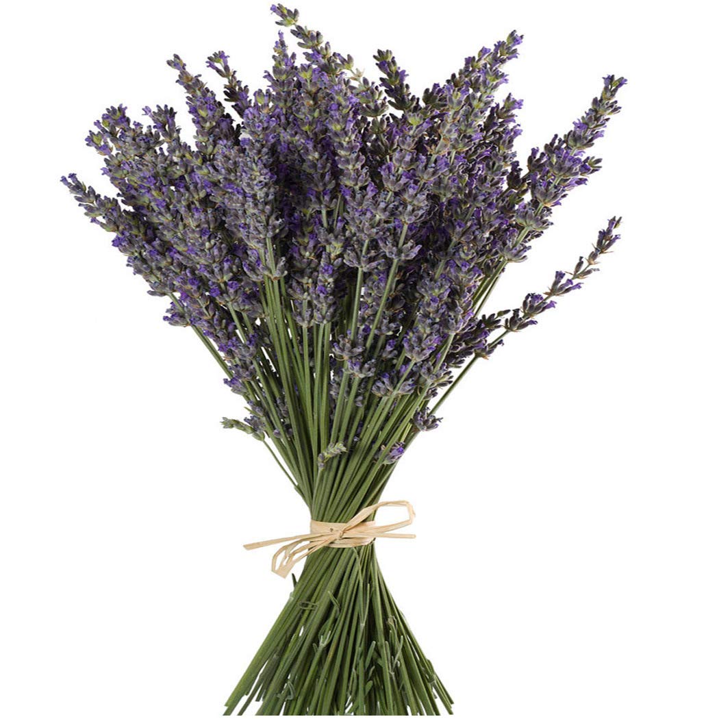 TooGet Natural Lavender Bundles, Freshly Harvested 400+ Stems Dried Lavender Bunch 16" - 18" Long, Decorative Flowers Bouquet for Home Decor, Crafts, Gift, Wedding or Any Occasion
