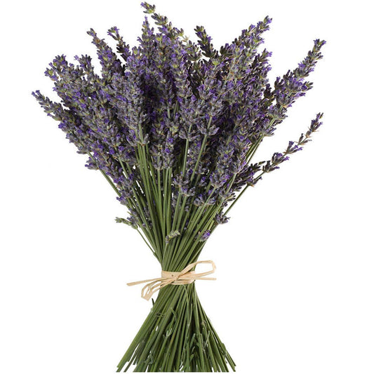 TooGet Natural Lavender Bundles, Freshly Harvested 400+ Stems Dried Lavender Bunch 16" - 18" Long, Decorative Flowers Bouquet for Home Decor, Crafts, Gift, Wedding or Any Occasion