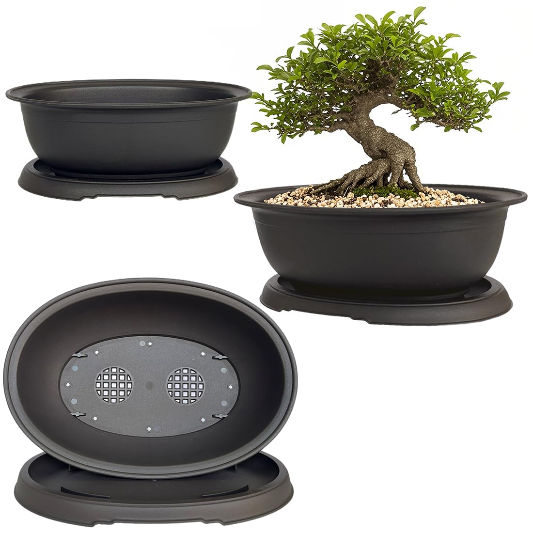 MUZHI 3 Pack Mixed Size Oval Bonsai Planter Pot with Drainage Tray, Matte Finish Ellipse Plastic Bonsai Succulent Growing Pot for Home Garden Plant Container 9.1” 7.2” 5.2”