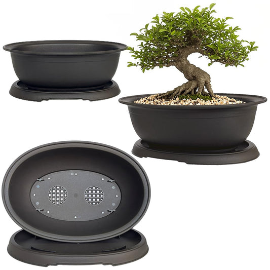 MUZHI 3 Pack Mixed Size Oval Bonsai Planter Pot with Drainage Tray, Matte Finish Ellipse Plastic Bonsai Succulent Growing Pot for Home Garden Plant Container 9.1” 7.2” 5.2”