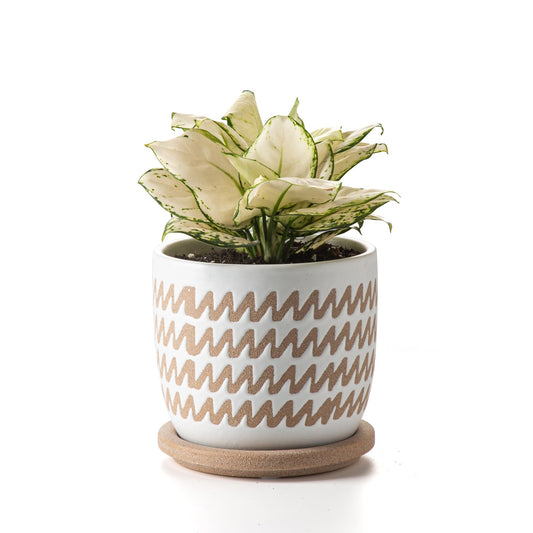 POITONRU Ceramic Flower Pots Indoor-Outdoor: 5.75 Inch Planters with Drainage Holes & Saucer - Modern Decorative Plant Pots Ceramic for Home Gardeners (Wave)