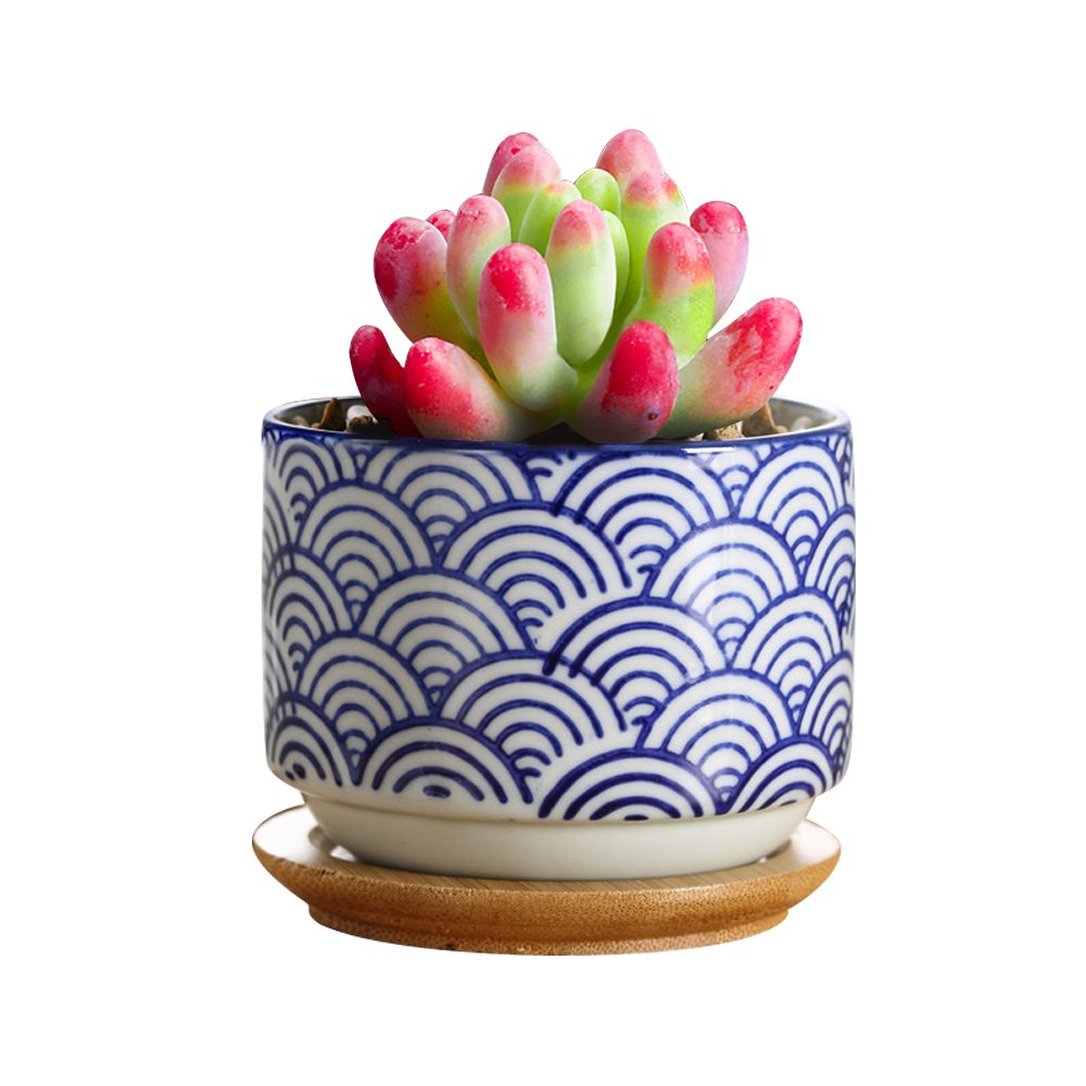GeLive 3 Inch Ceramic Succulent Planter, Cactus Plant Pot, Flower Container with Bamboo Drip Tray, Indoor Outdoor, Set of 2 (Wave and Blue Flower)