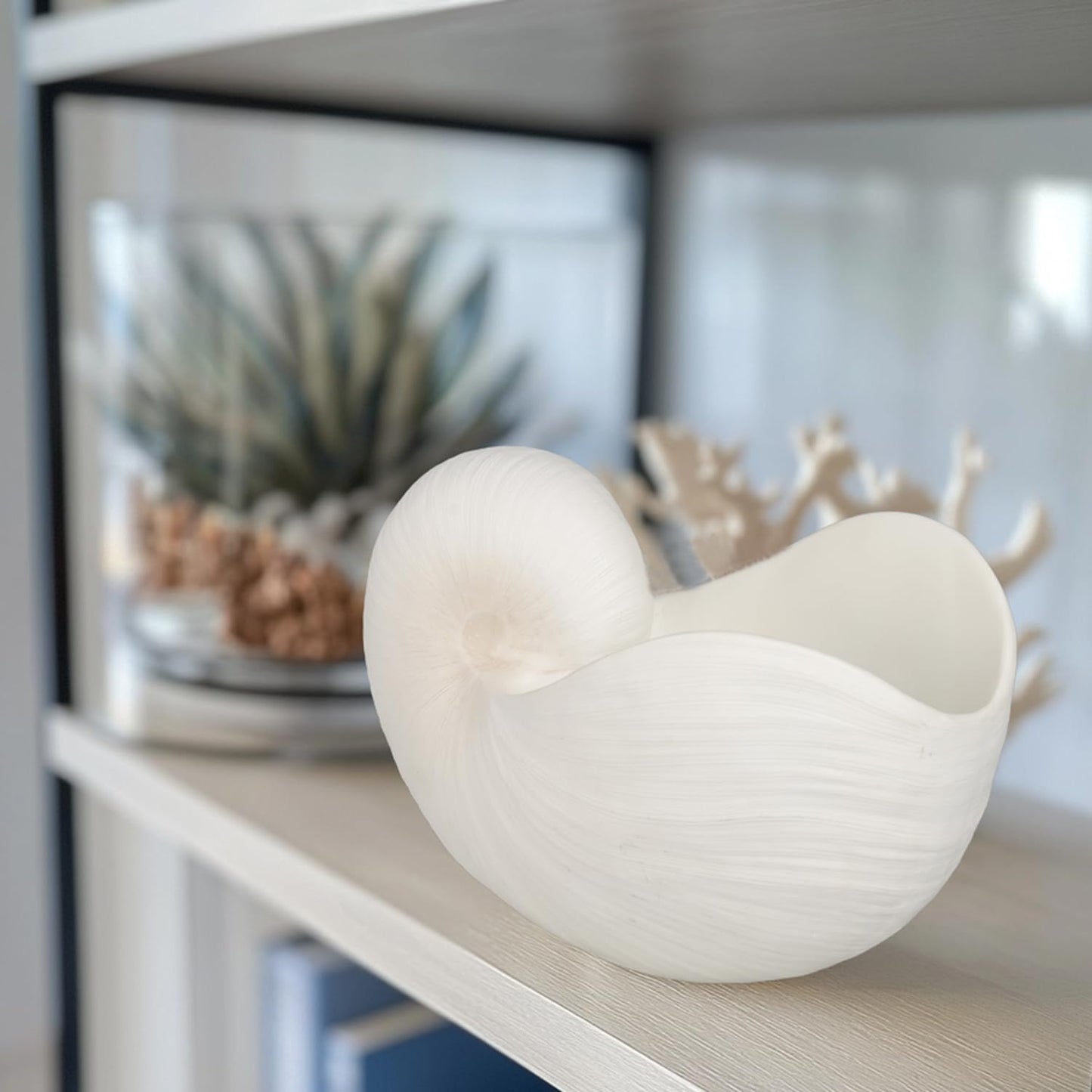 Braxio Coastal Home Decor Bundle - Seashell Planter Pot & Fluted Fruit Bowl Set - Resin Bathroom Shelf & Kitchen Counter Decor for Beach House, Wedding Gift (12.25" & 12" Sizes)