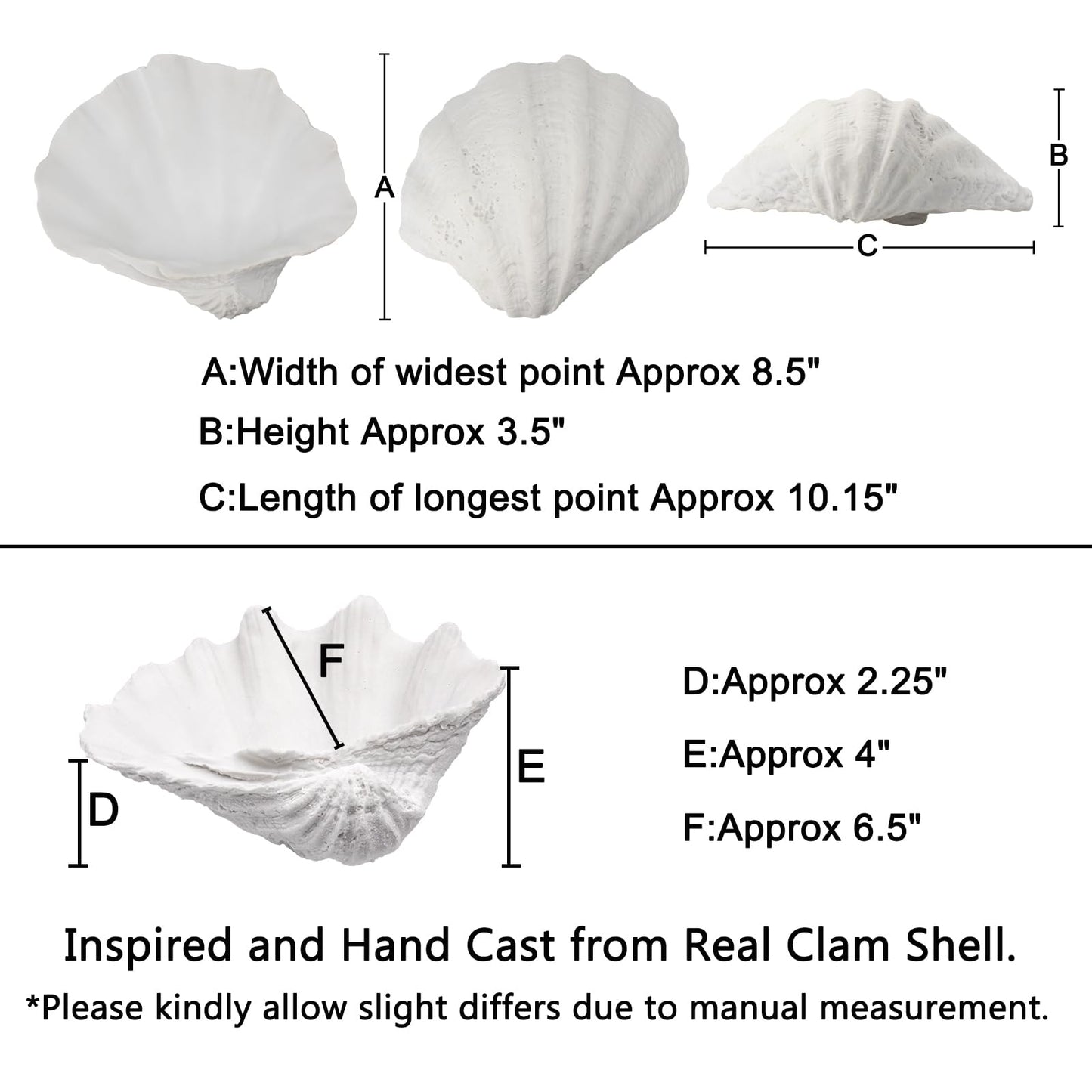ALIWINER Medium White Scalloped Clam Shell Bowl Sea Shell Decor for Nautical Beach House,Coastal Decor Gift of Housewarming and Wedding Party