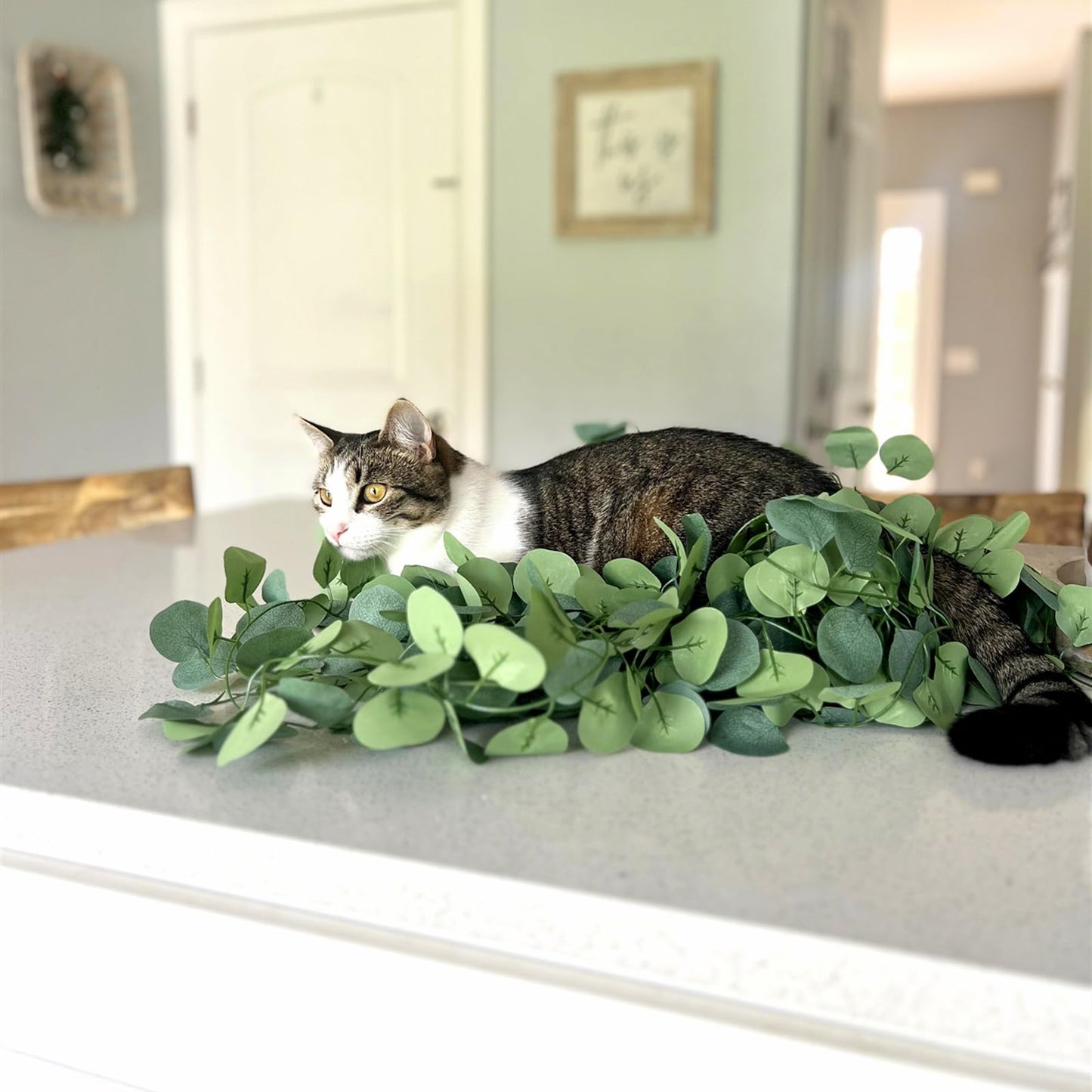 CQURE 12 Pack 84Ft Eucalyptus Garland,Artificial Eucalyptus Leaves Table Greenery Garland Wreath Vines for Wedding Party Table Fireplace Bedroom Wall Room Decor