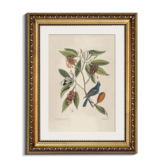 InSimSea Gold Framed Canvas Wall Art Room Decor Botanical Art Home Decoration Vintage Blue Birds Artwork Painting Picture Living Room Wall Decor Animals Artwork for Bathroom Bedroom Kitchen Office