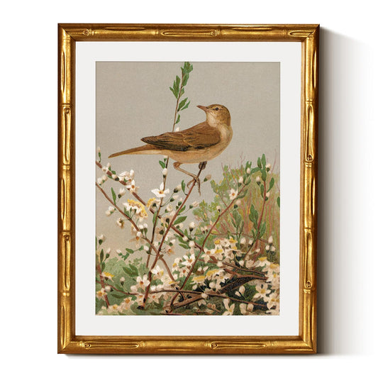InSimSea Gold Bamboo Framed Canvas Wall Art, Spring Bird on Branch Paintings, Antique Vintage Picture Frame with Mat, Victorian Wall Decor for Living Room Bedroom Office, 11x14inch