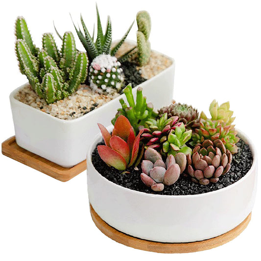 DeeCoo Succulent Pots, White Ceramic Flower Succulent Planters Pot with Bamboo Tray, 1 Rectangle Flower Pot + 1 Round Flower Pot 6.5" Drainage Hole for Cactus
