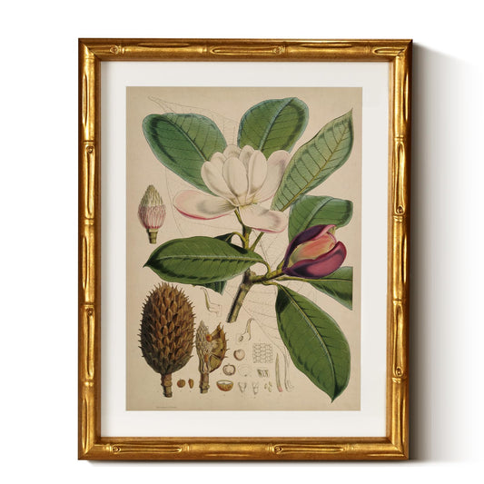 InSimSea Gold Bamboo Framed Canvas Wall Art, Retro Nature Magnolia Botanical Paintings, Antique Vintage Picture Frame with Mat, Victorian Home Wall Decor for Living Room Kitchen Dining, 11x14inch