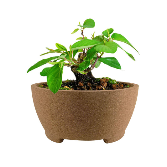 TINYVISTA 7” Brown Unglazed Bonsai Pot with Drainage Holes - Ceramic Clay Planter for Ficus Trees, Succulents & Indoor Plants, 3.3" High Round