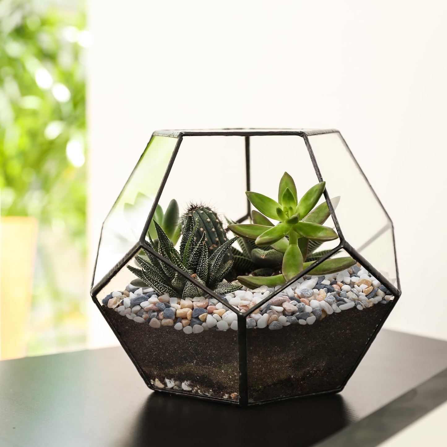 Pulovin 2.5 lbs Small Rocks for Plants, 1/5 Inch Pebbles for Indoor Plants, Natural Decorative Pea Gravel for Aquarium, Fish Tank, Terrarium, Succulents, Bamboo Plants, Vases, Cactus, Crafts