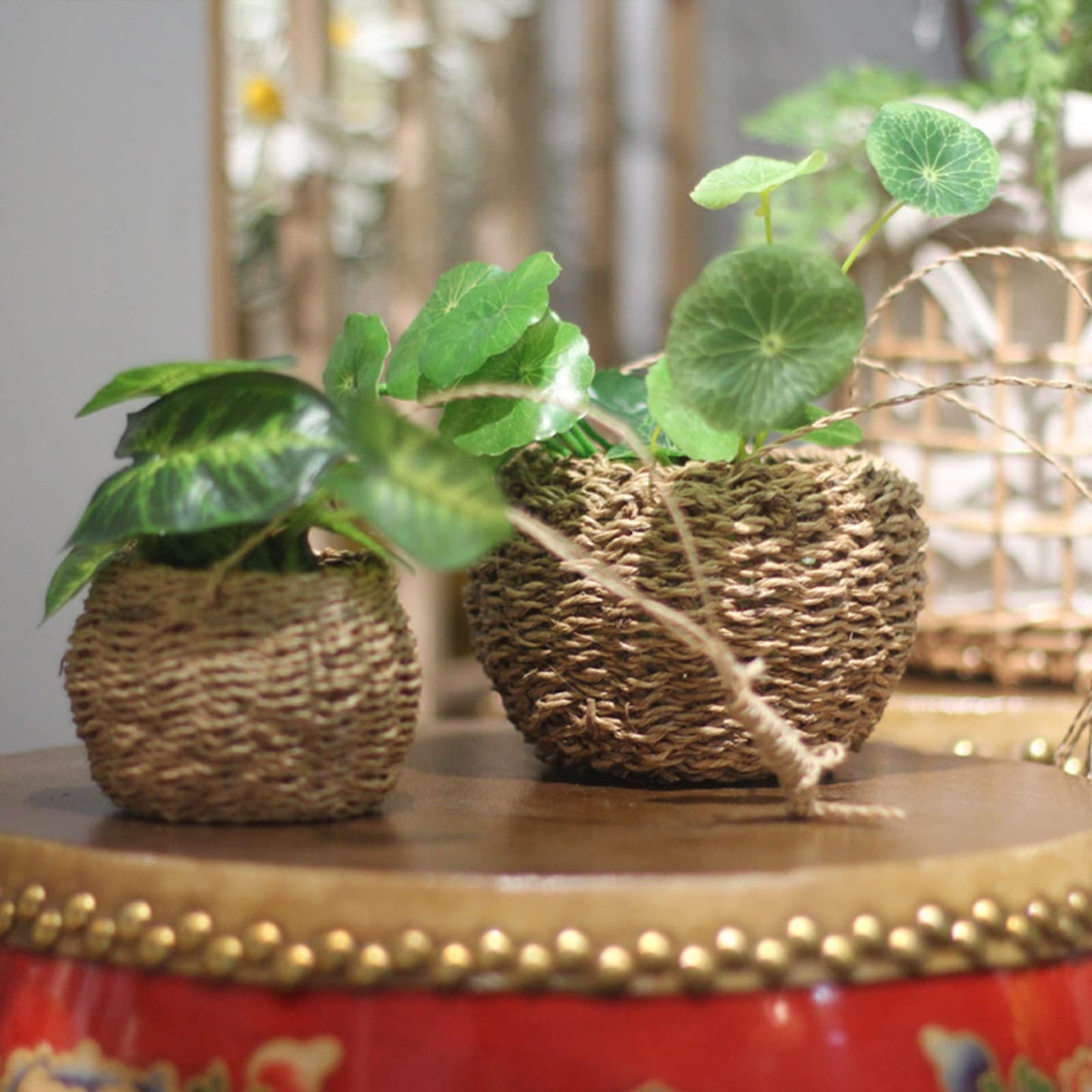 Kuppn 3.9 in Woven Hanging Plant Pot, Hemp Rope Hanging Planter with Rope, Woven Hanging Basket for Succulents, Air Plants and Small Cacti