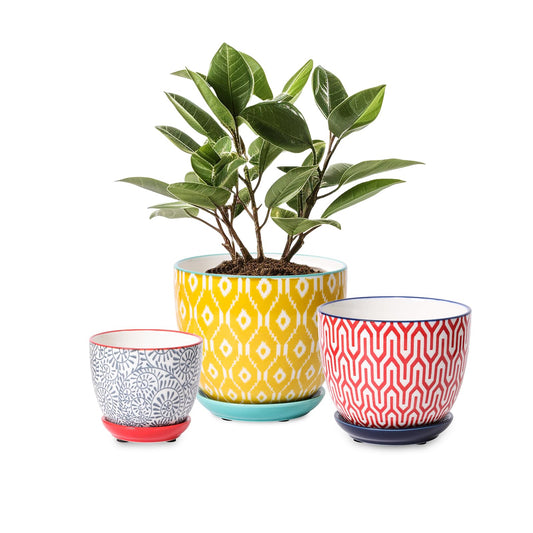 Selamica Ceramic Plant Pots, Indoor Flower Pots for Indoor Plants, 3.5+4.6+5.5 Planters with Drainage Hole & Saucer, Set of 3, Home Decor, Assorted Colors