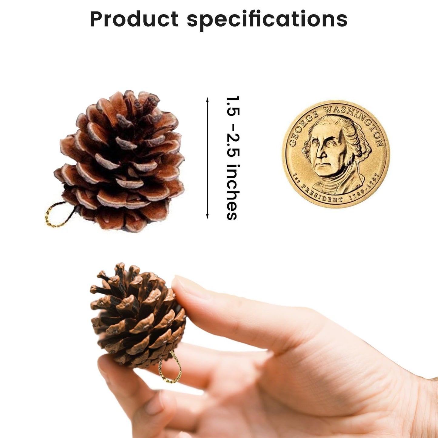 JOHOUSE 18PCS Hanging Natural Pine Cones (1.5"–2.5"), Rustic Pinecones with Strings for Garland, Wreath Making, Vase/Bowl Filler Spring Decor