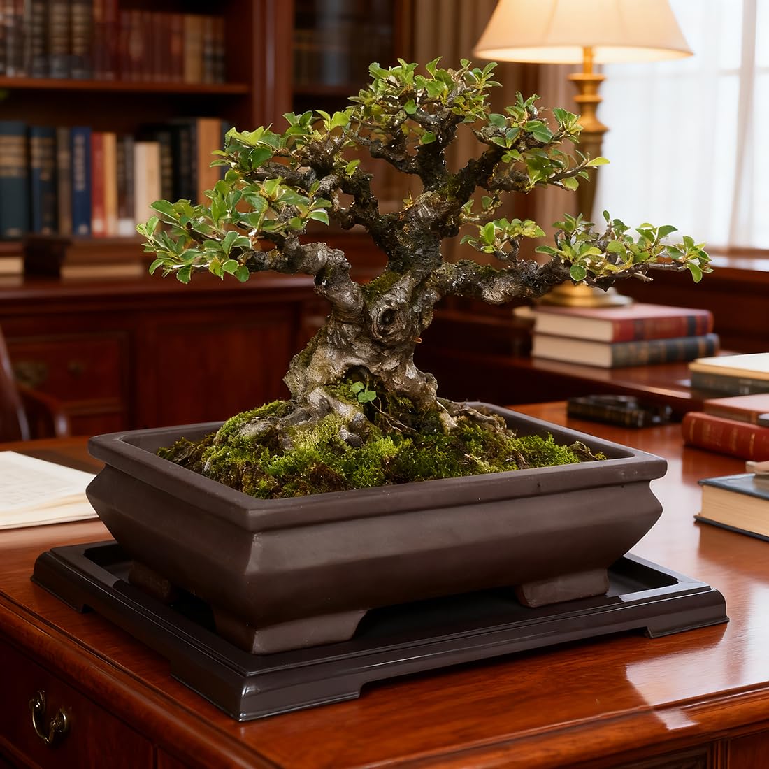 MUZHI Unglazed Ceramic Bonsai Pot with Drainage Tray, Rectangle Vintage Brown Bonsai Planter with 4 Raised Feet for Juniper Maple, Succulent Planter Pot with Drip Tray (Elegant Rectangle)