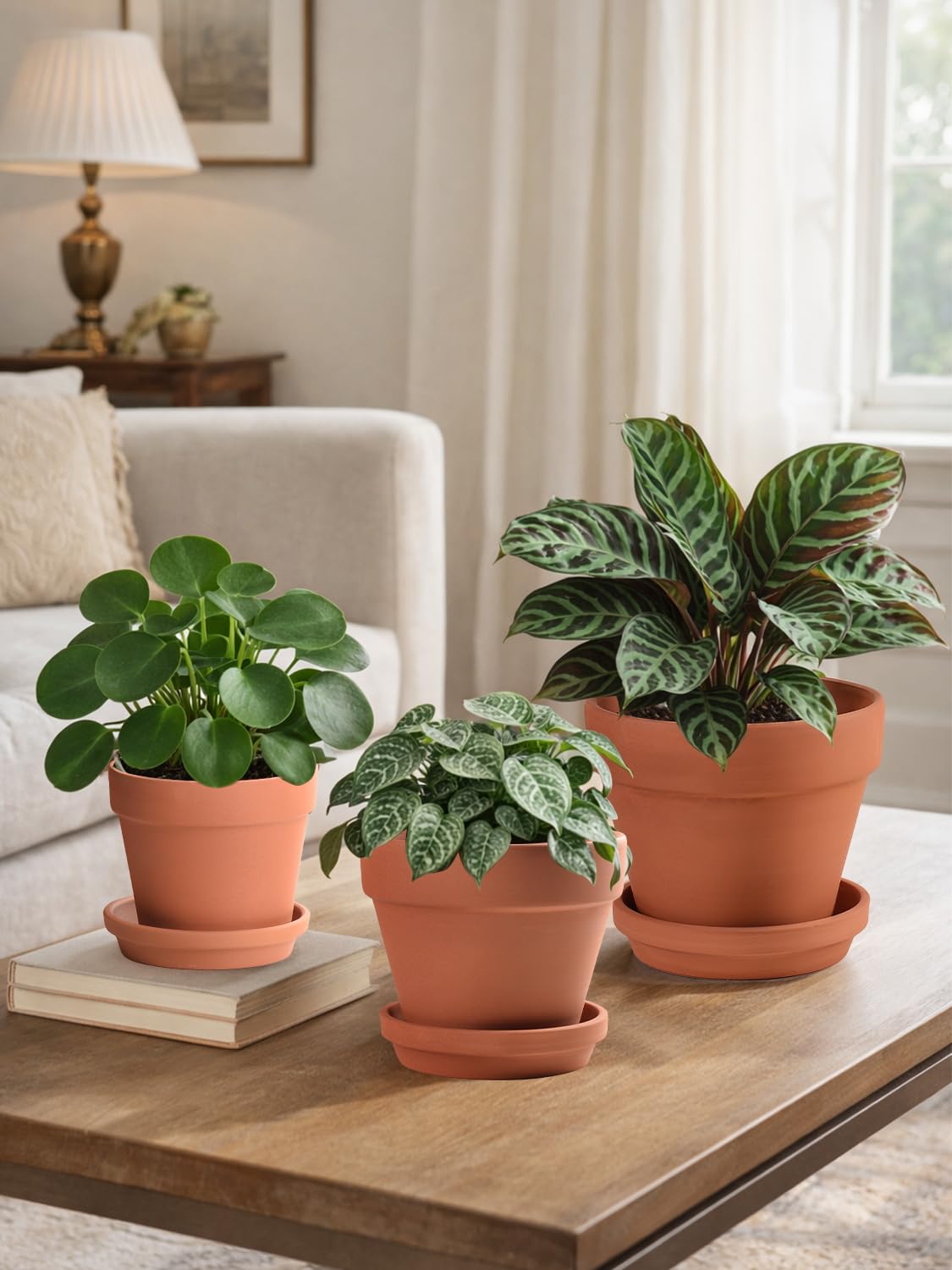 INGOFIN Terracotta Pots Set with Saucer - 5/6/7 inch Ceramic Clay Planters with Drainage Hole, Garden Flower Succulent Pots with Tray for Indoor Outdoor Plants, Set of 3
