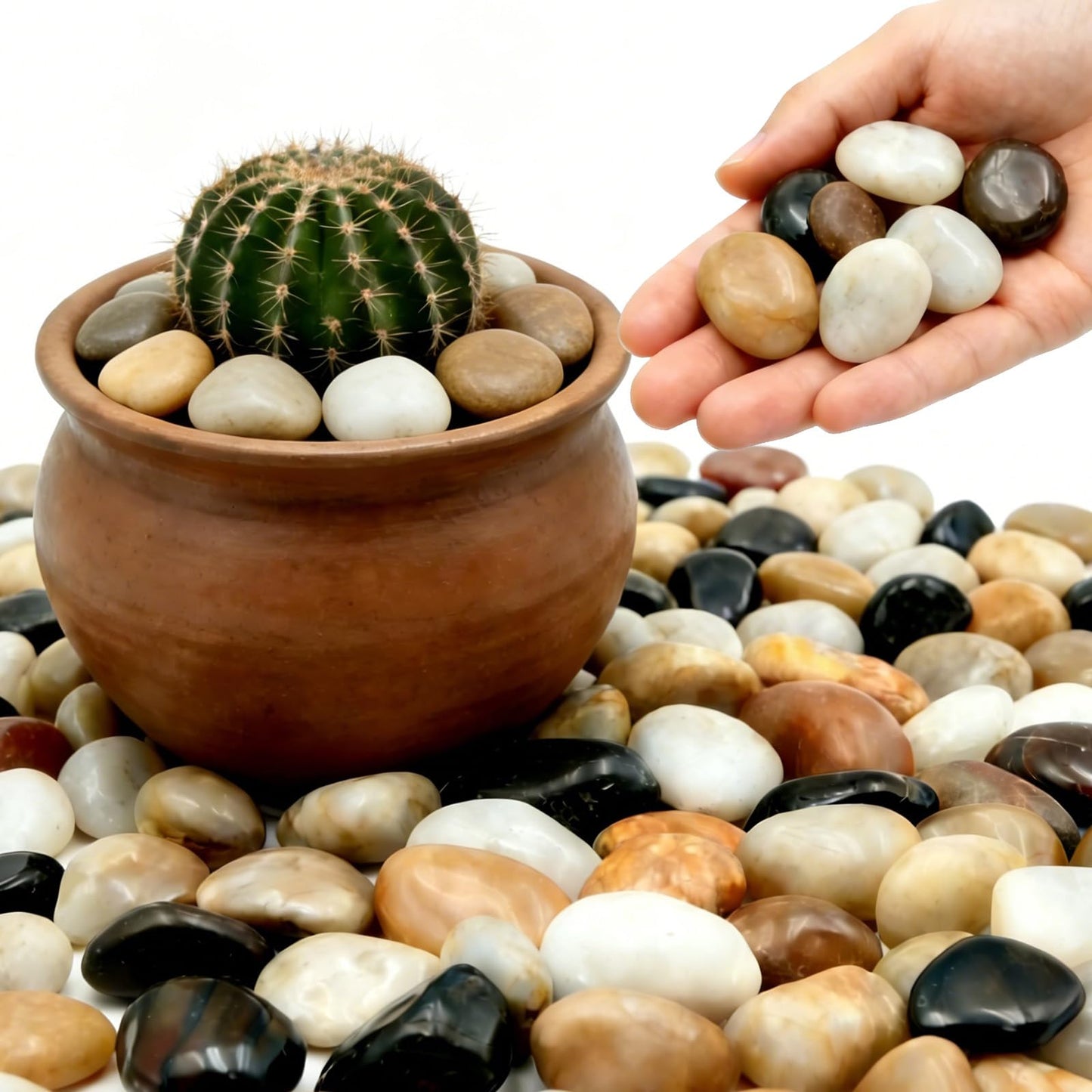 Mengdewei 1-2 Inch Polished River Rocks, Decorative Stones for Indoor Plants, Vase Filler, Fish Tank & Aquarium, Garden Landscaping, Mixed, 6LB