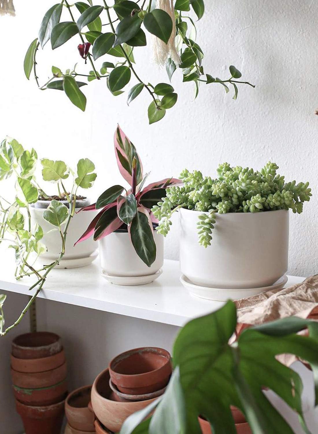 LE TAUCI Ceramic Pots for Plants, 6.8 Inch Plant Pots with Drainage Hole & Saucer, Modern Planter for Indoor Plants, Stable & Durable, Perfect for Living Room or Office Decor, White